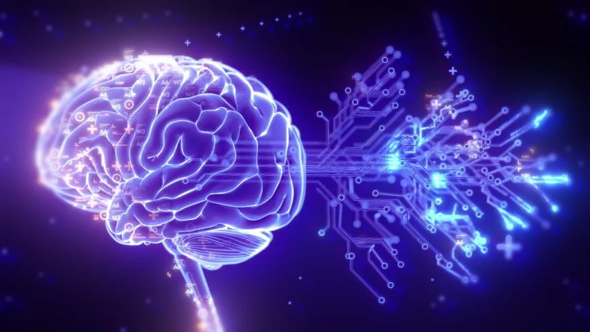 EEG Vision Research 2