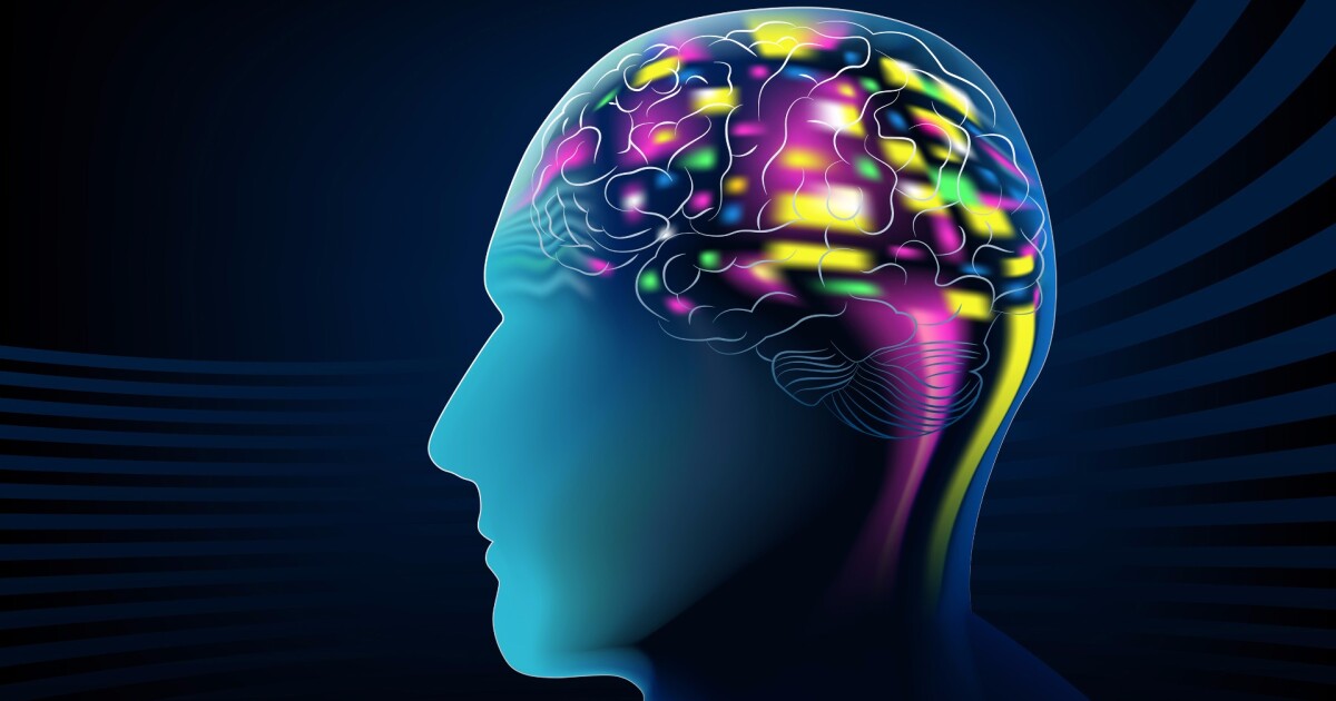 EEG Vision Research 4
