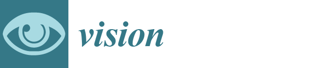 Vision Journal